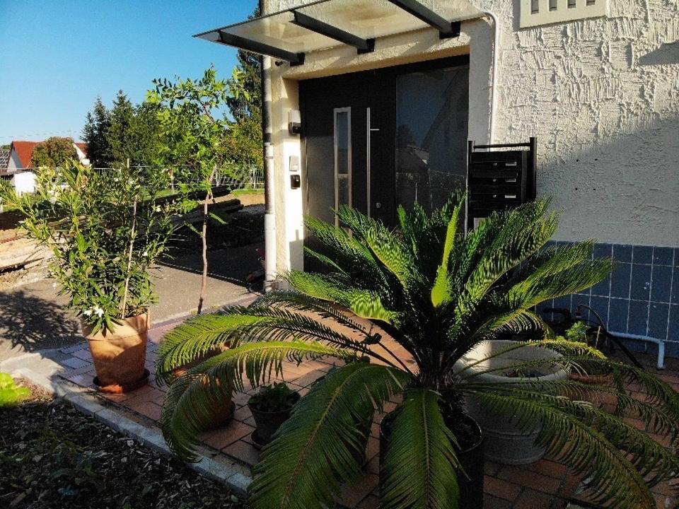Sonnige 3 Zimmer Wohnung Mit Schoenem Balkon Im Gruenen Ройтлинген Екстериор снимка